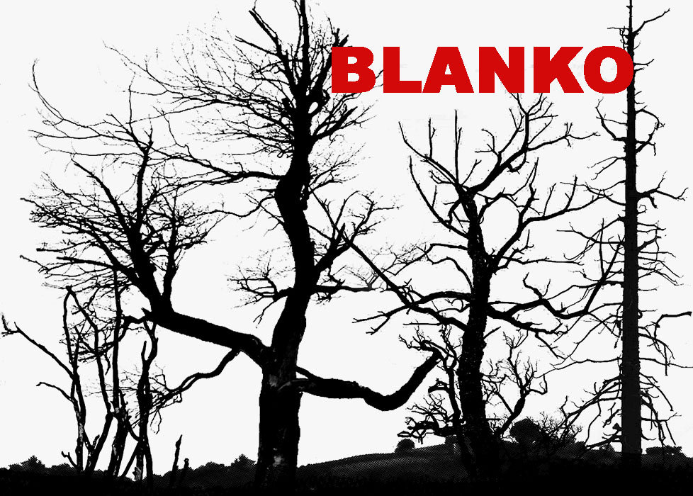 2023-blanko-site.jpg
